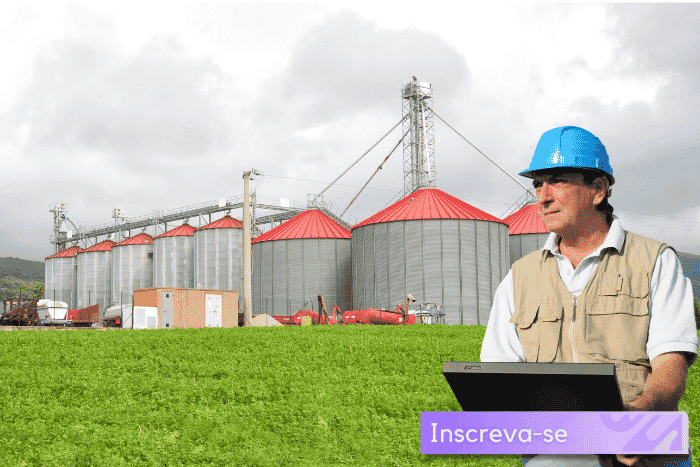 Liderança, Carga de Trabalho e Autonomia em Processamento e Armazenamento Agrícola